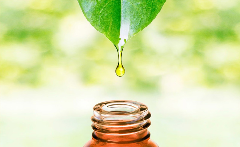 corpussano-nutrivida-nutricao-funchal-madeira-Naturopatia