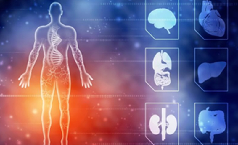 corpussano-nutrivida-nutricao-funchal-madeira-biorressonancia-quantica-01